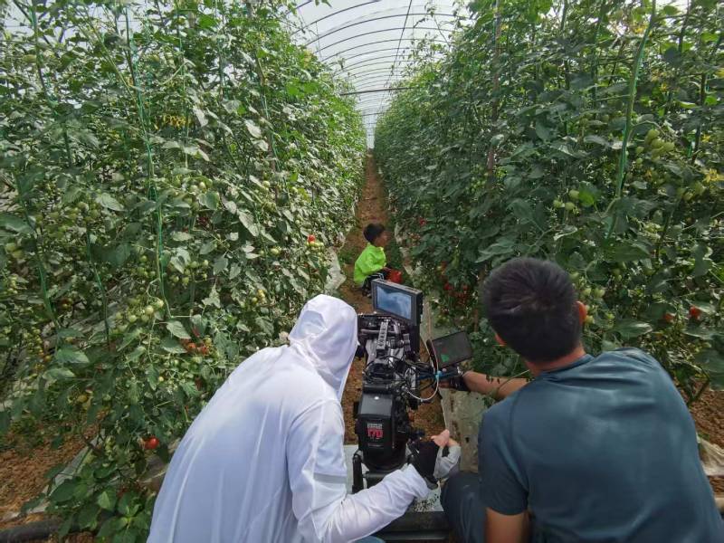 广安区产品宣传视频拍摄公司进阶指南，助力品牌抢占传播高地